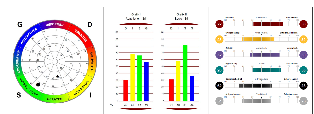 Insights MDI Profilgrafik des Angestelltenmeisters als Nachfolger: Rad, Adaptierter und Basis-Stil, Kompetenzskalen
