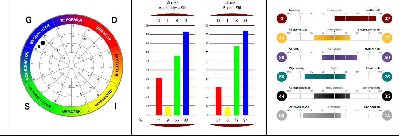 Insights MDI Profilgrafik des möglichen Nachfolgers in der Kanzlei: Rad, Adaptierter und Basis-Stil, Kompetenzskalen