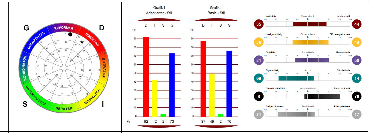 Insights MDI Profilgrafik des Kanzleiinhabers: Rad, Adaptierter und Basis-Stil, Kompetenzskalen